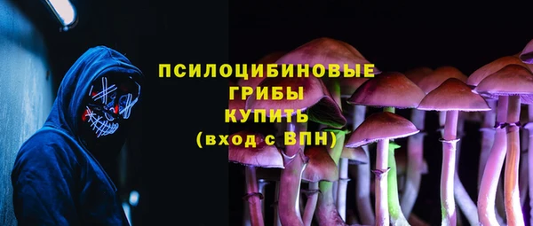 шишки Гусев